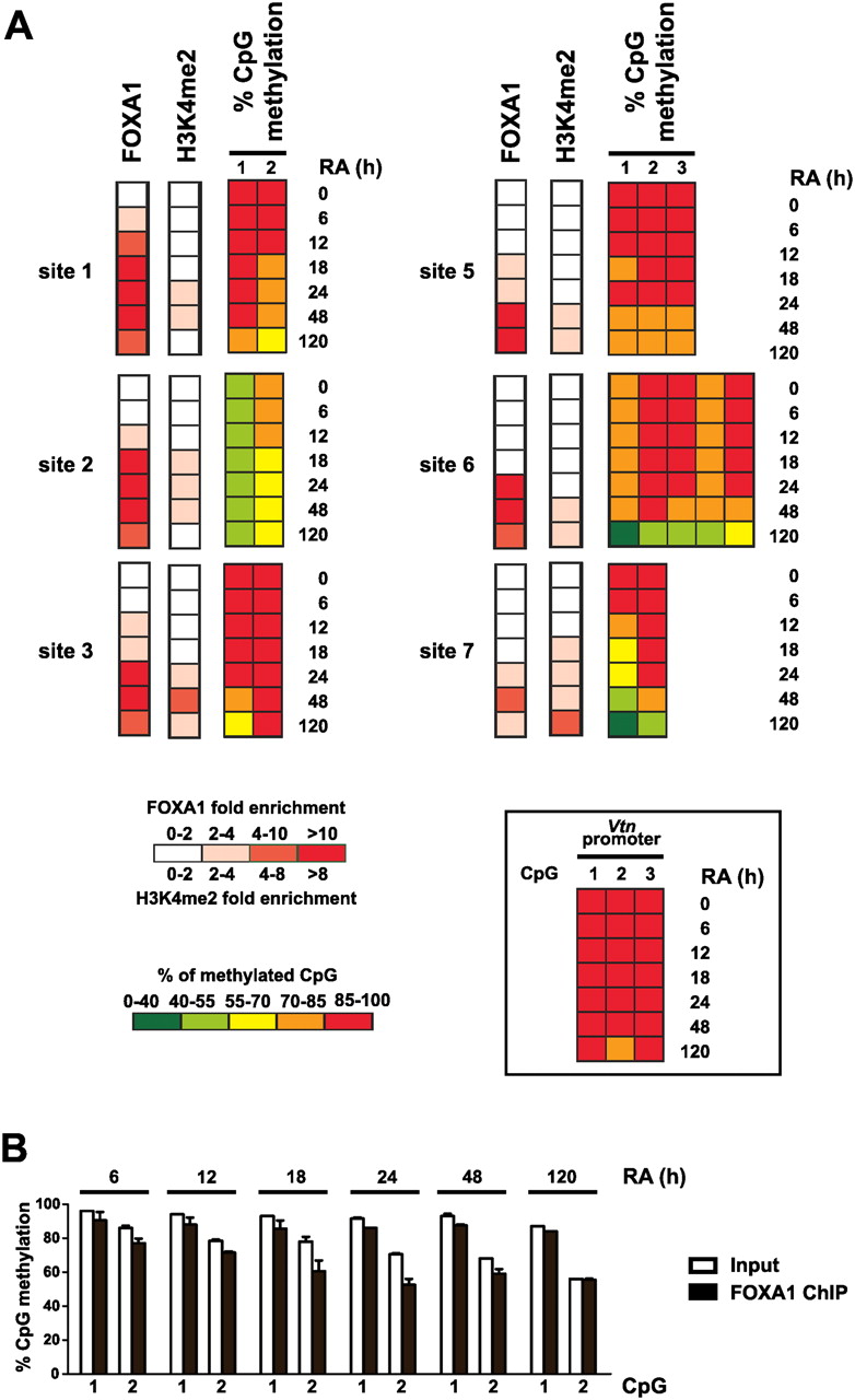 555fig5