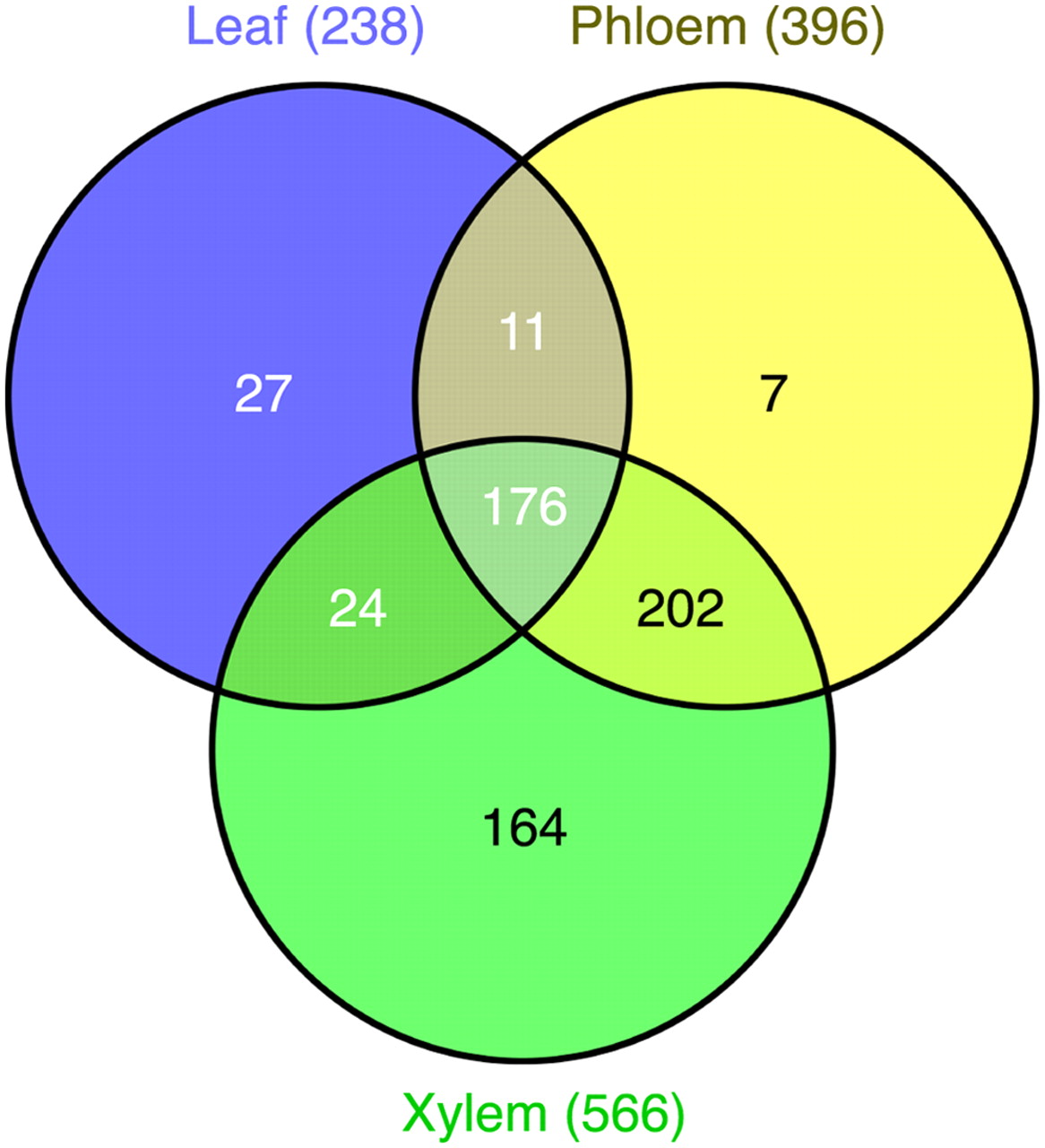 634fig6