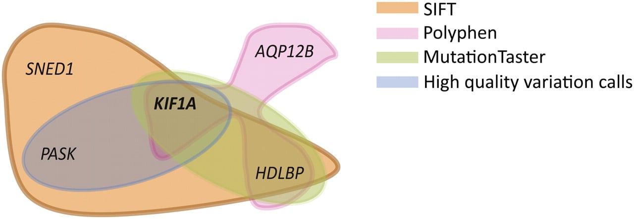 658fig2