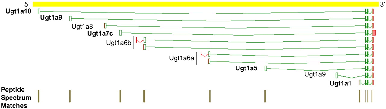 756fig5
