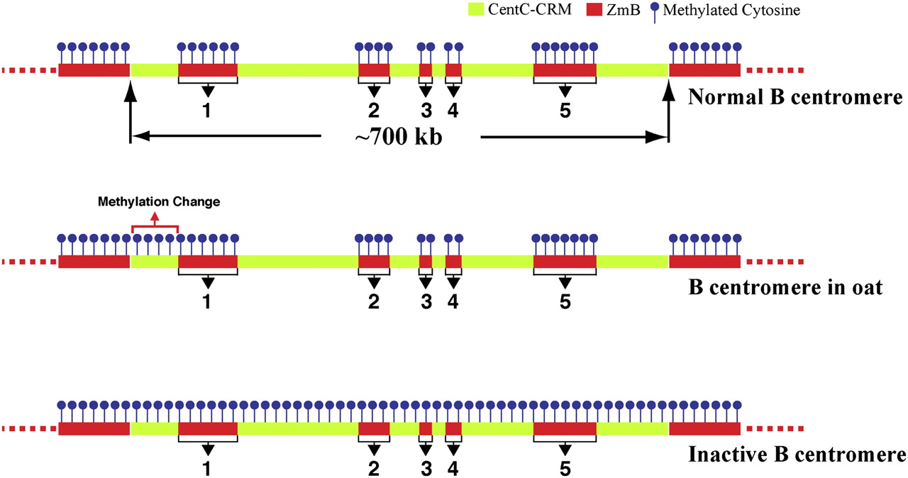 908fig3