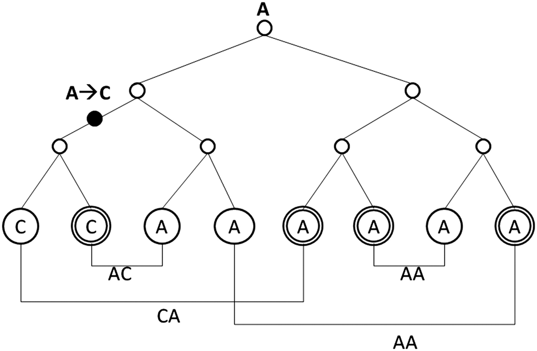 952fig5