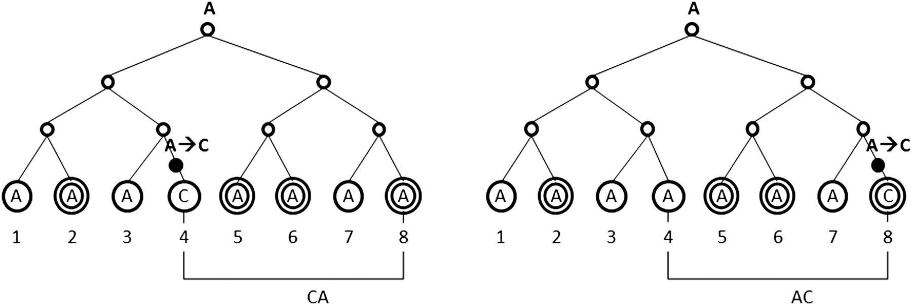 952fig6