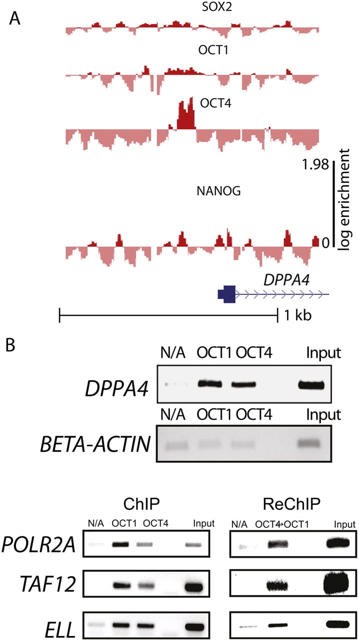 1055fig2