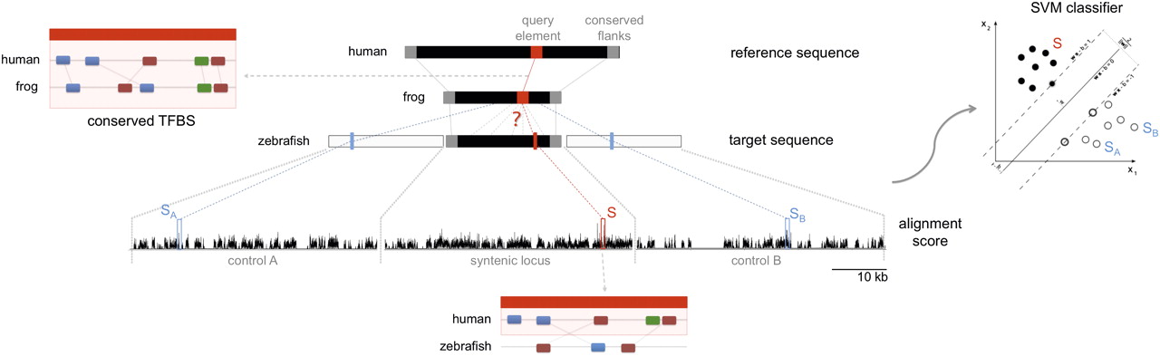 1139fig3