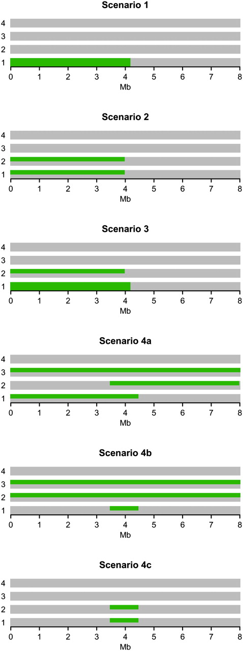 1168fig3