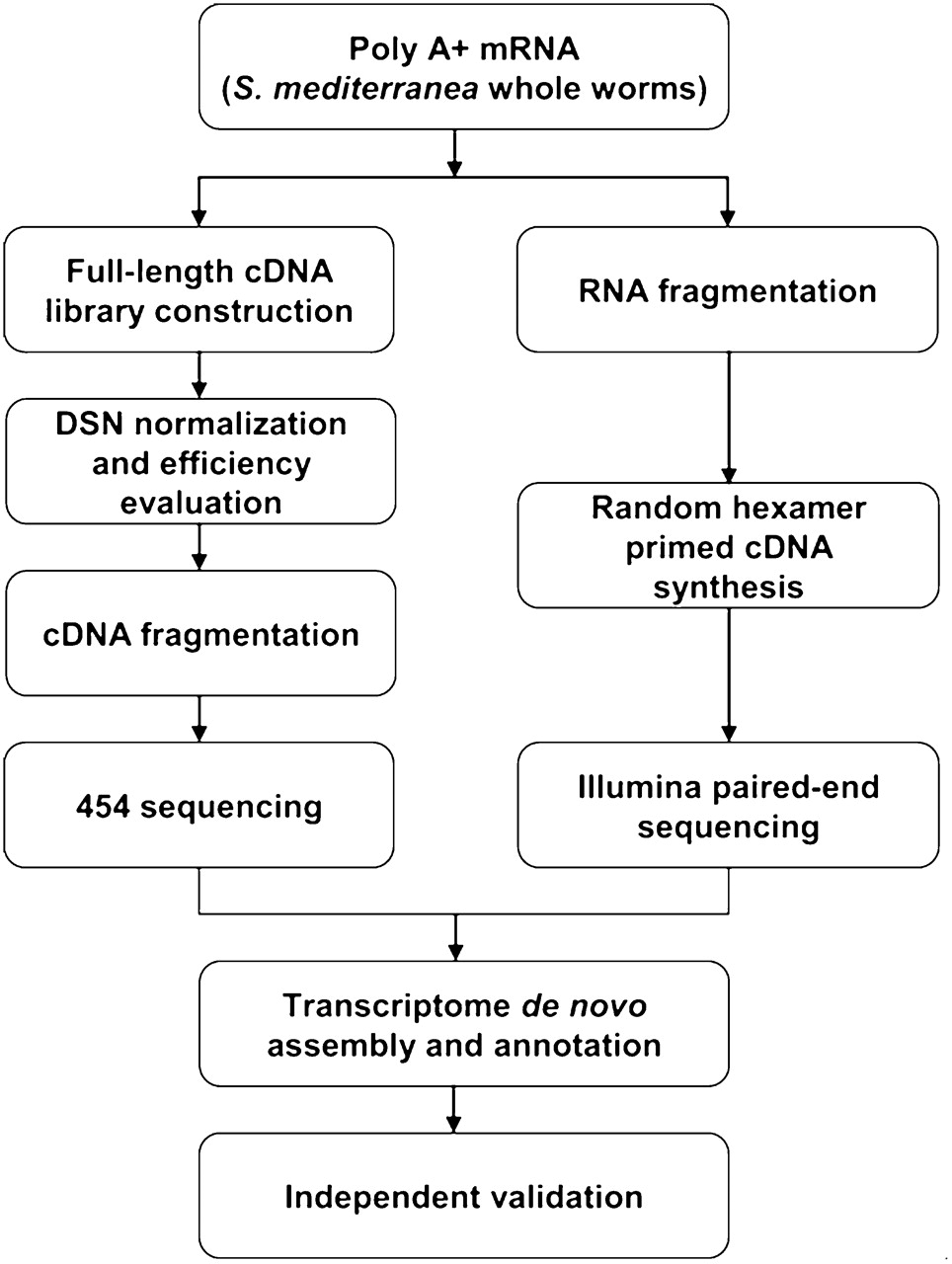 1193fig1
