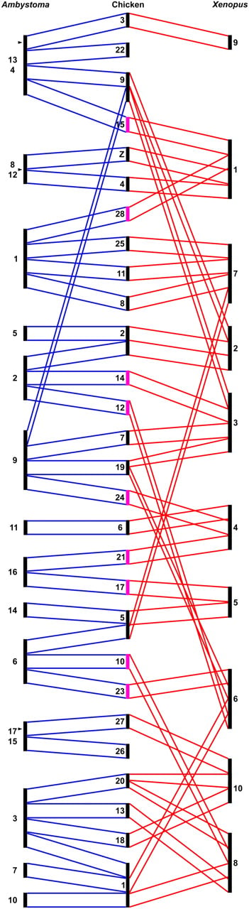 1306fig4