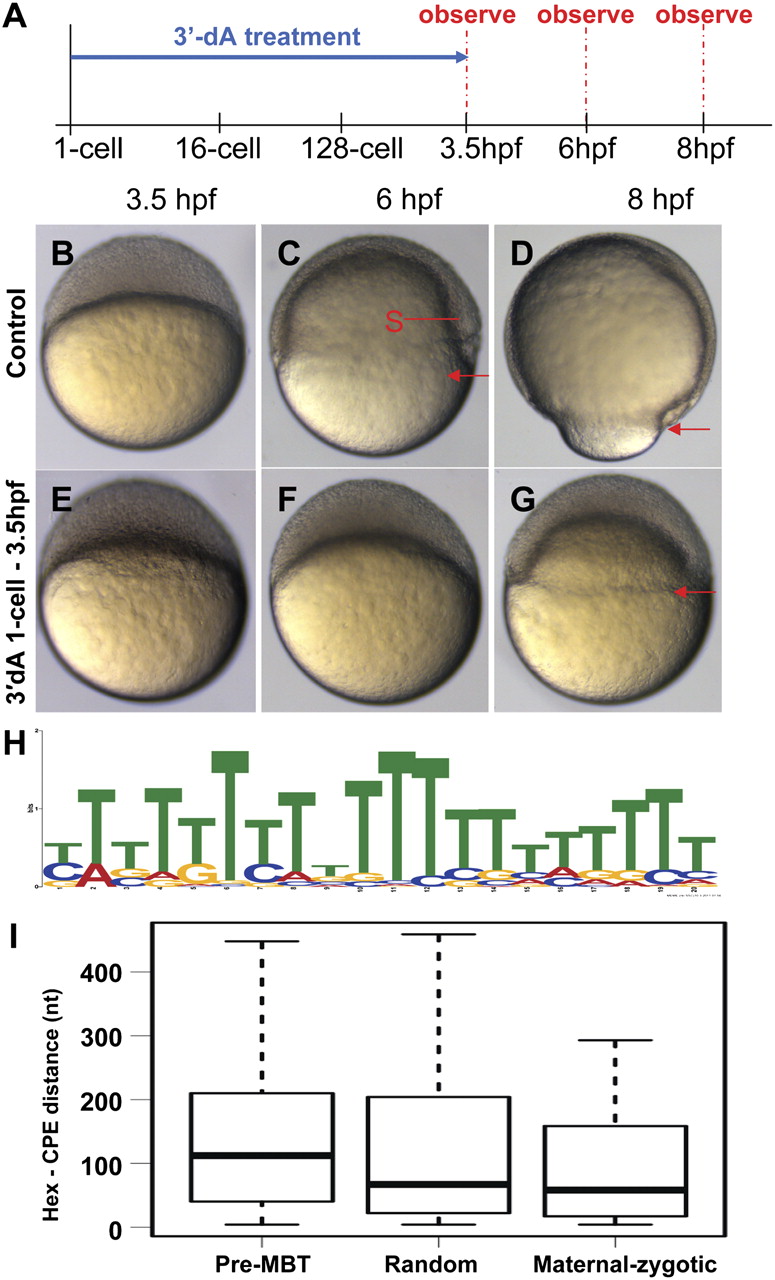 1328fig4