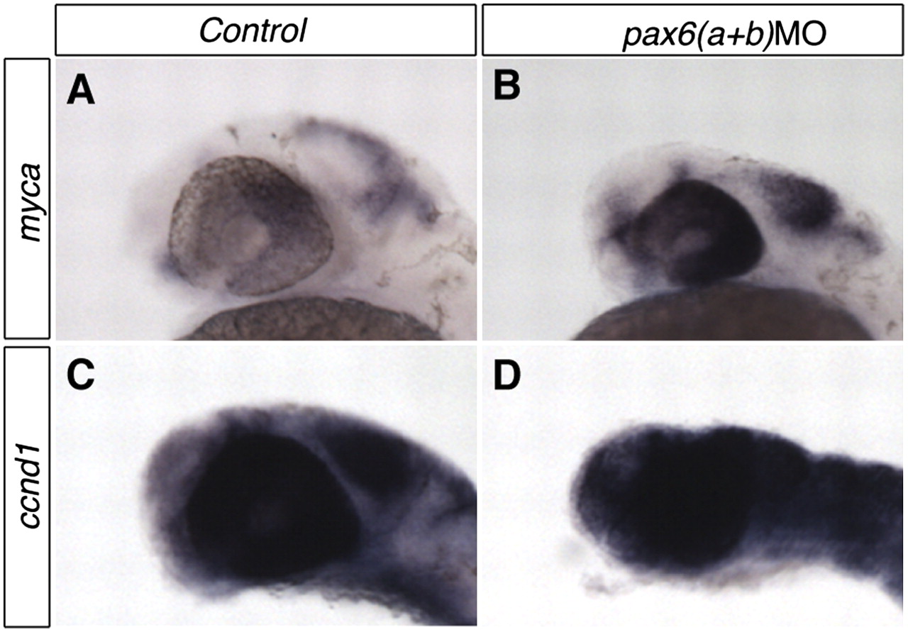 1349fig3