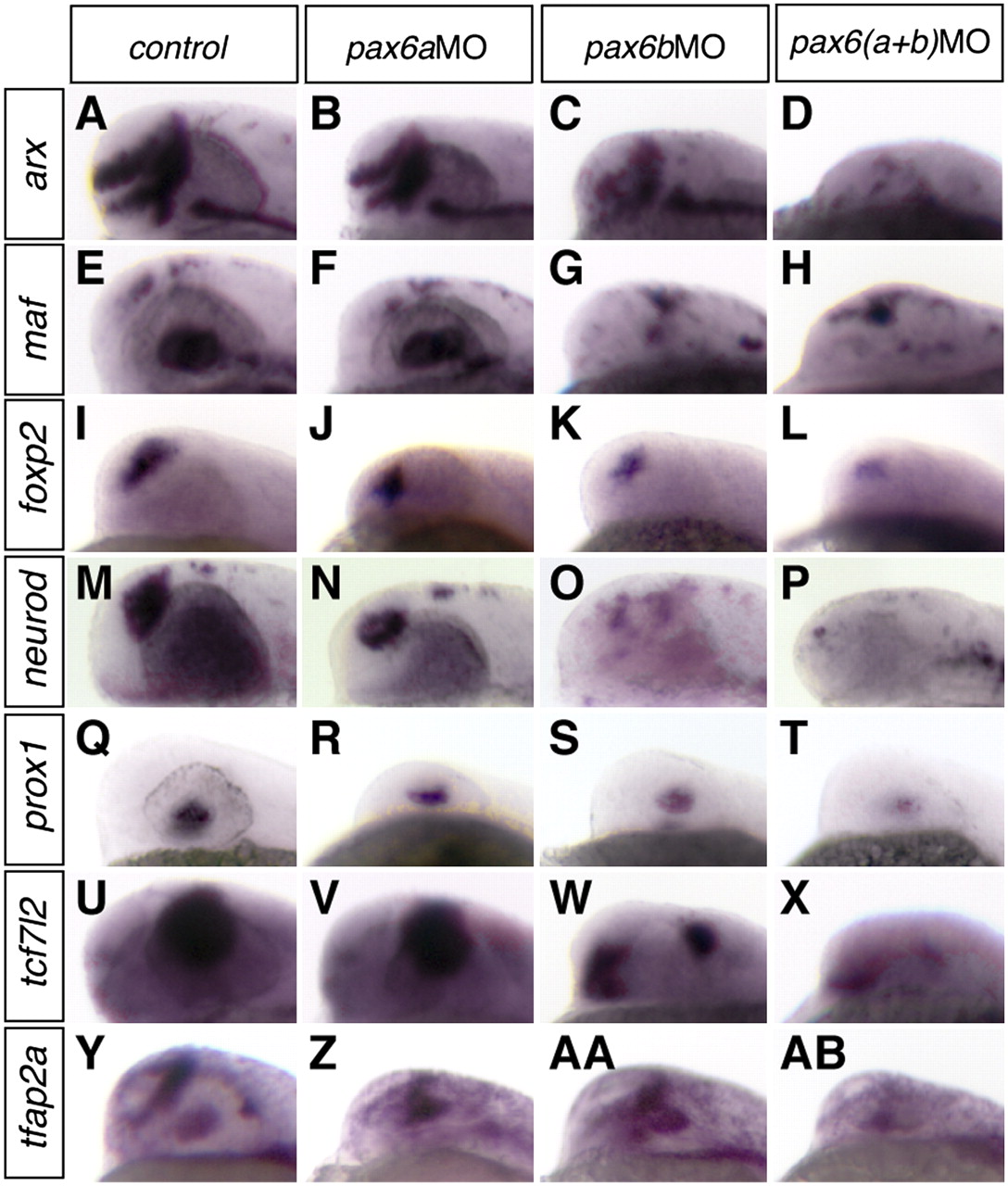 1349fig4