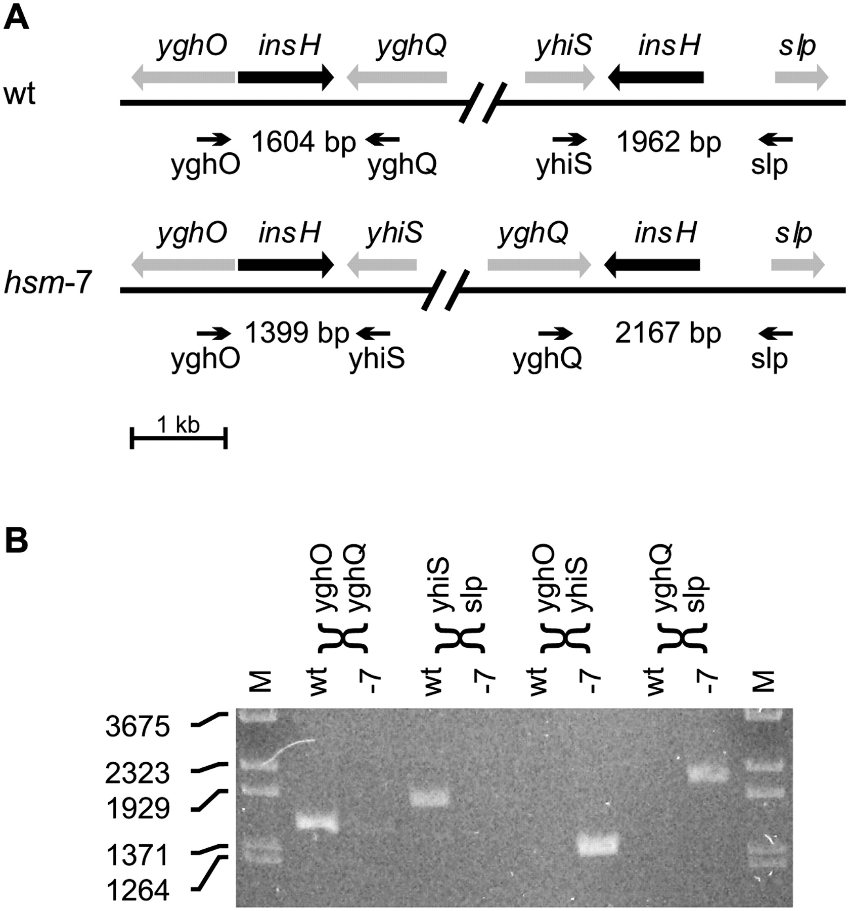 1388fig2