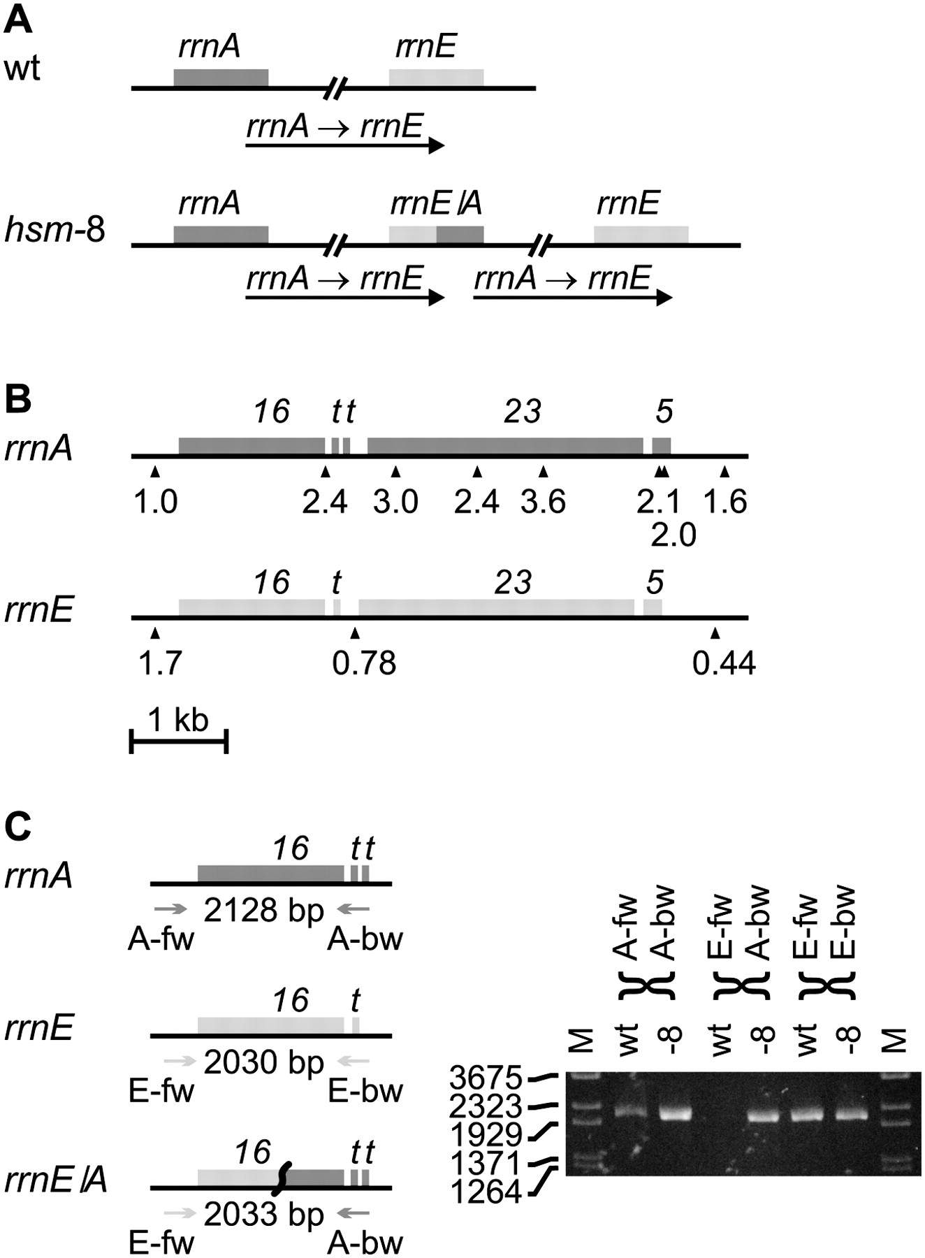 1388fig3