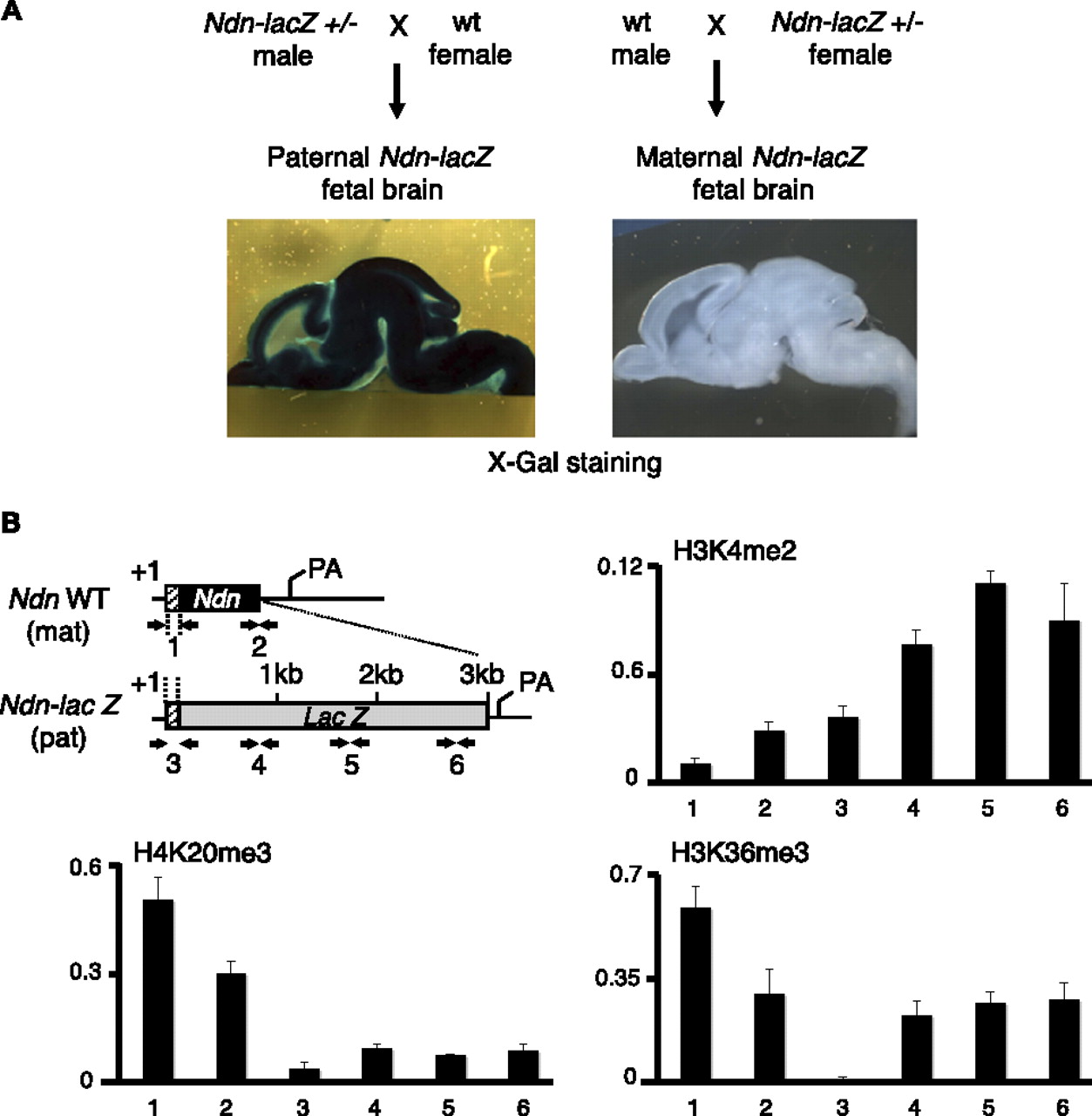1426fig3