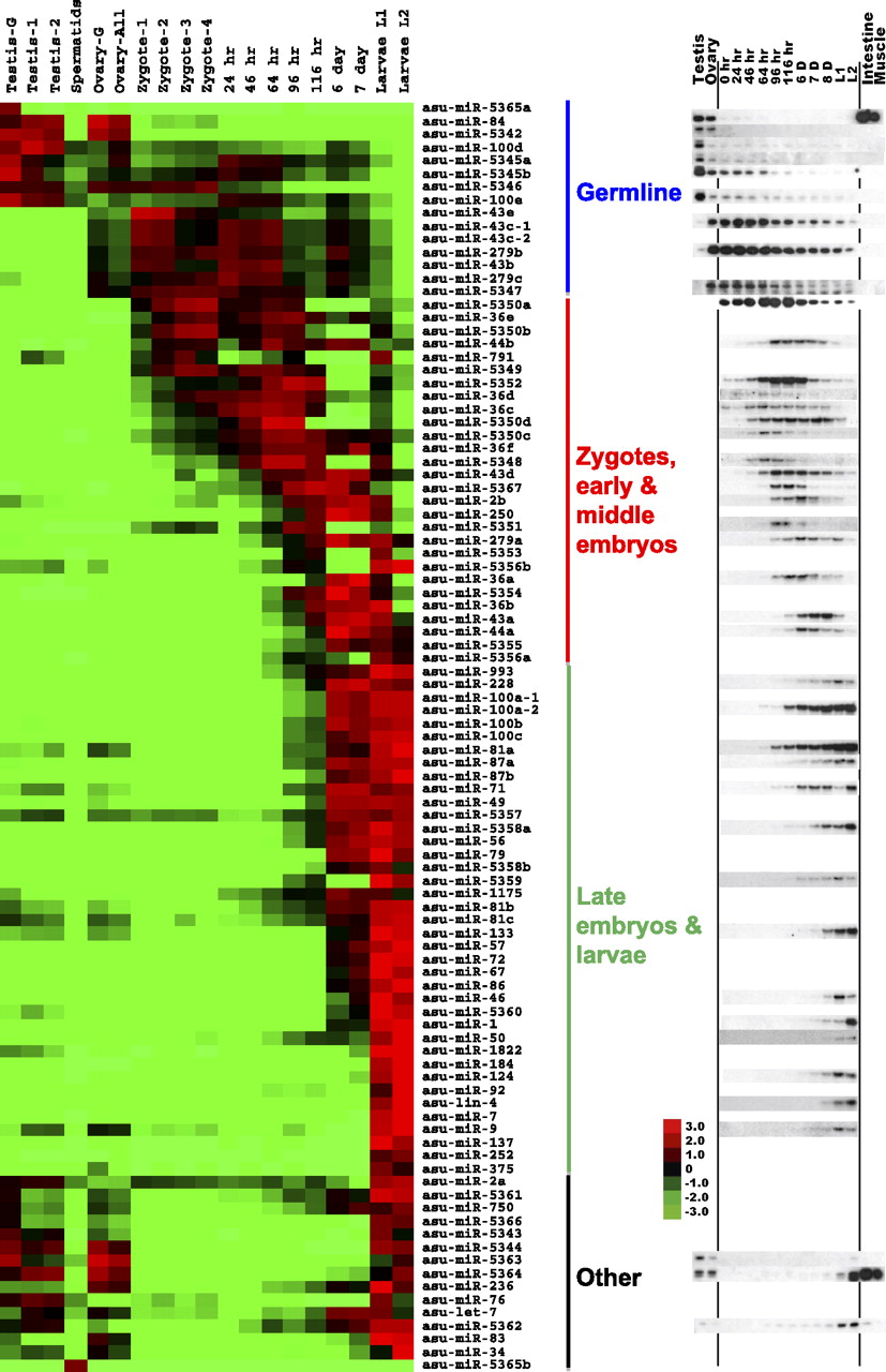 1462fig4