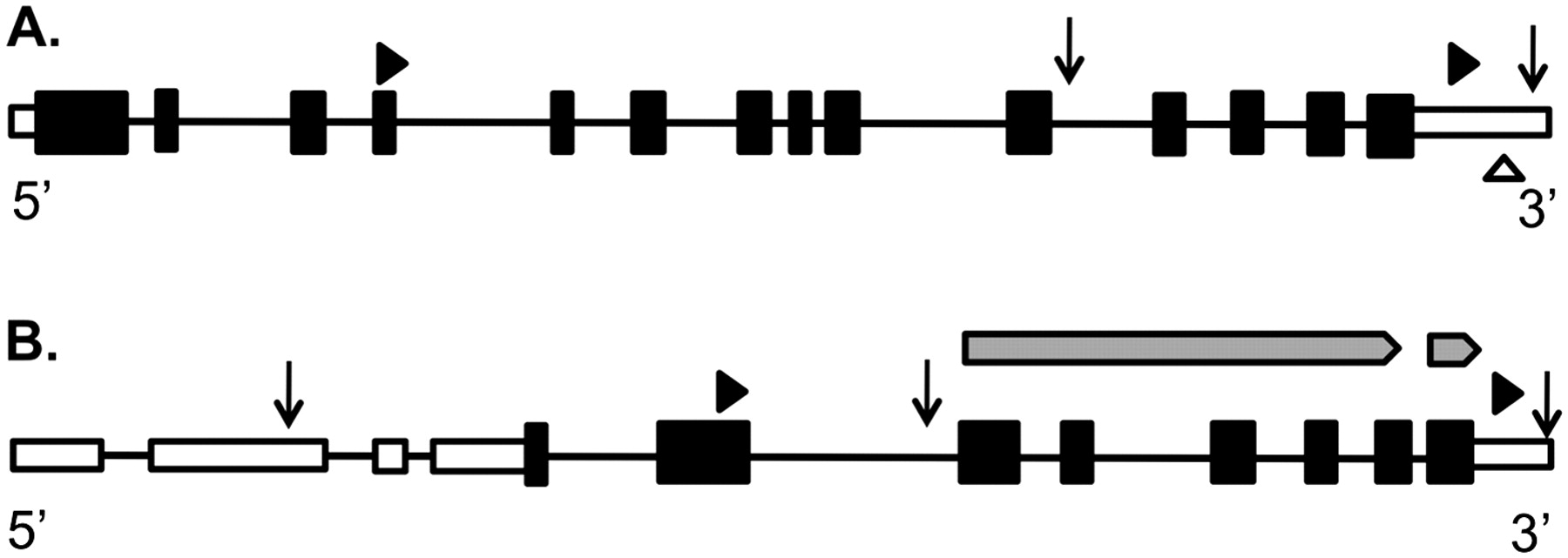 1478fig4