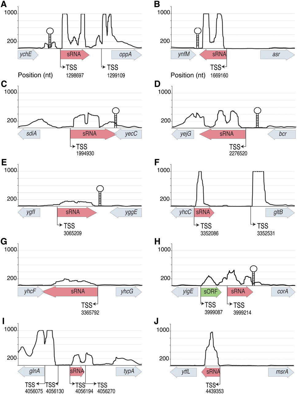 1487fig3
