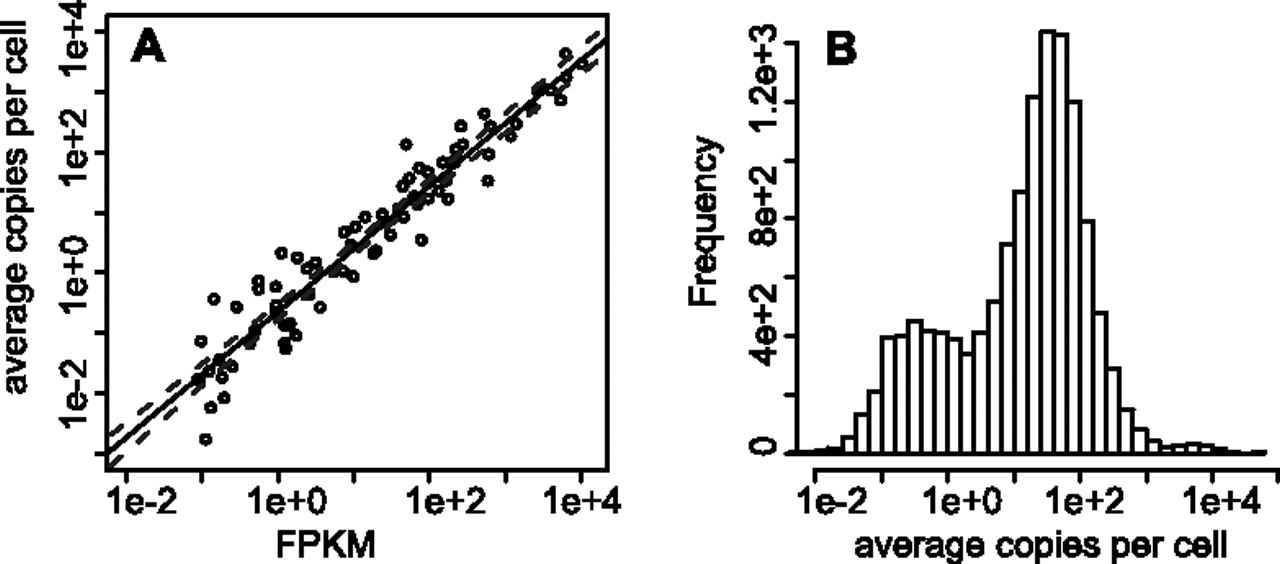 1543fig2