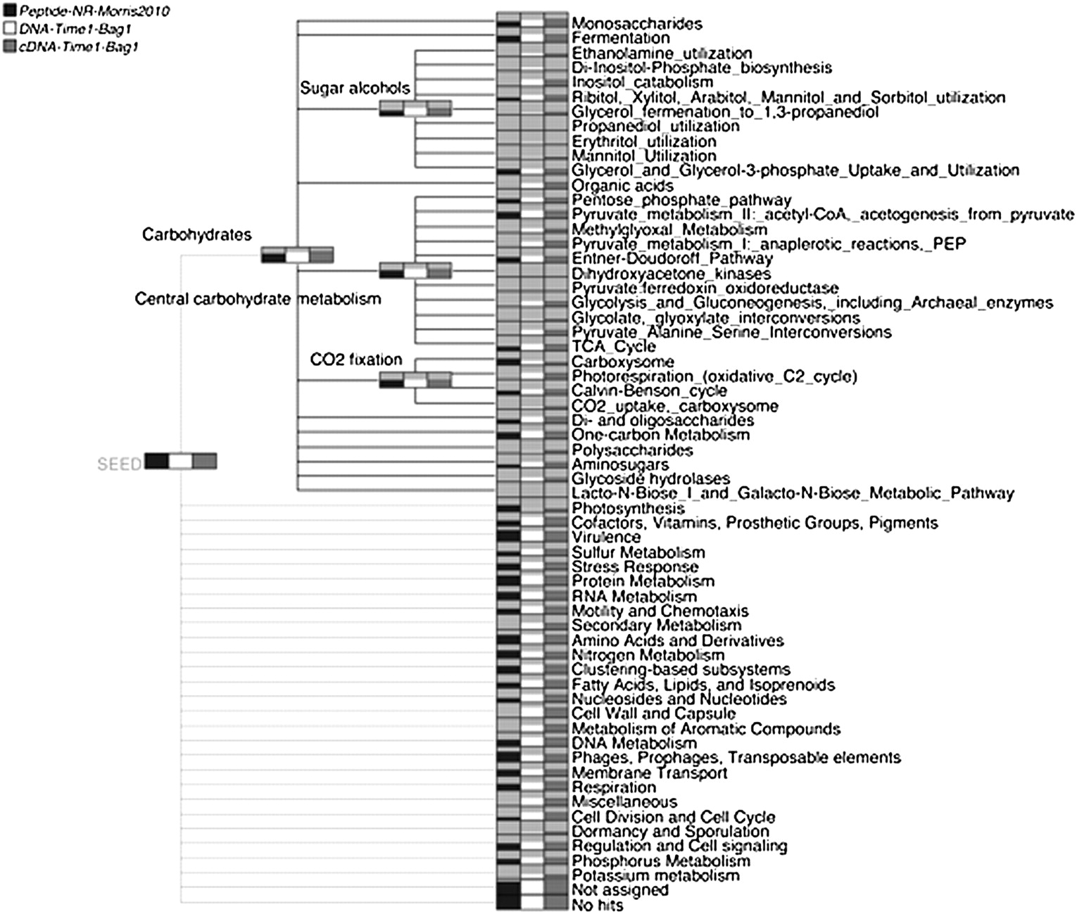 1552fig2