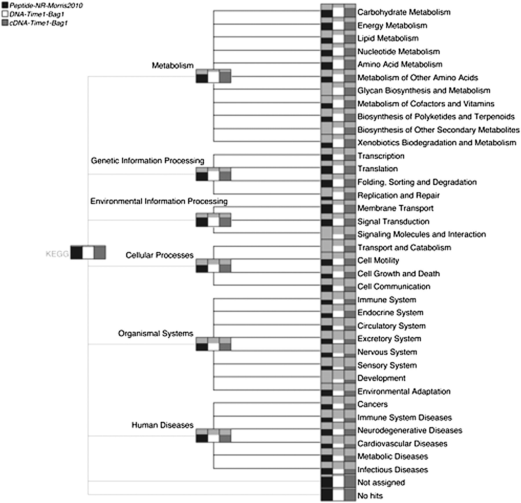 1552fig3