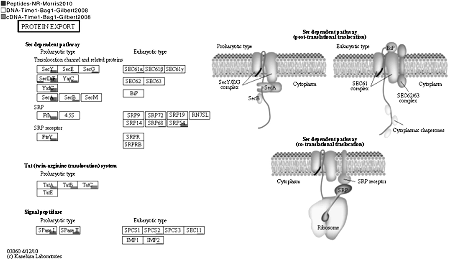1552fig4