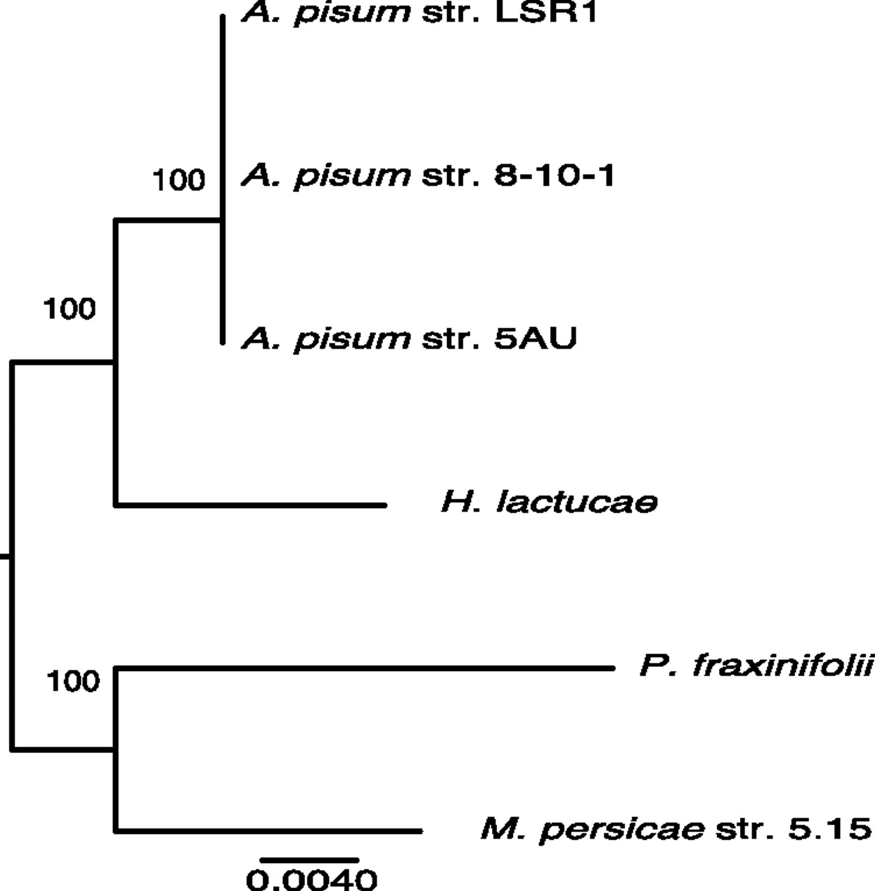106fig2