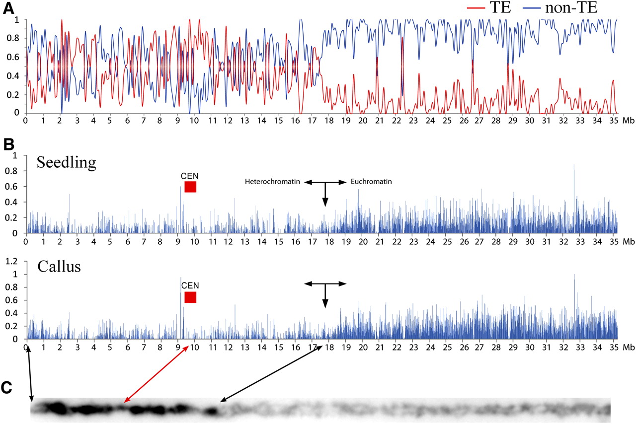 151fig3