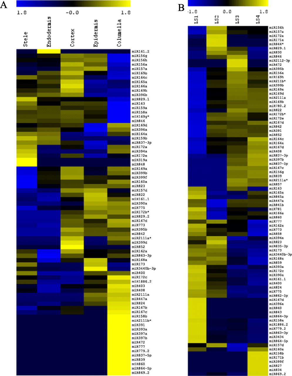 163fig2