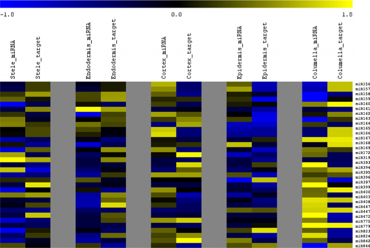 163fig3