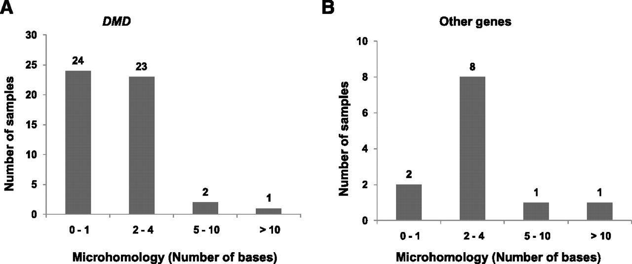 25fig3