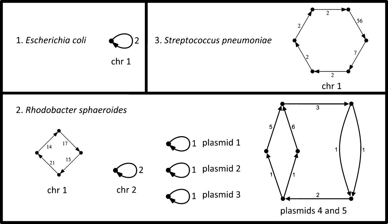 2270fig2