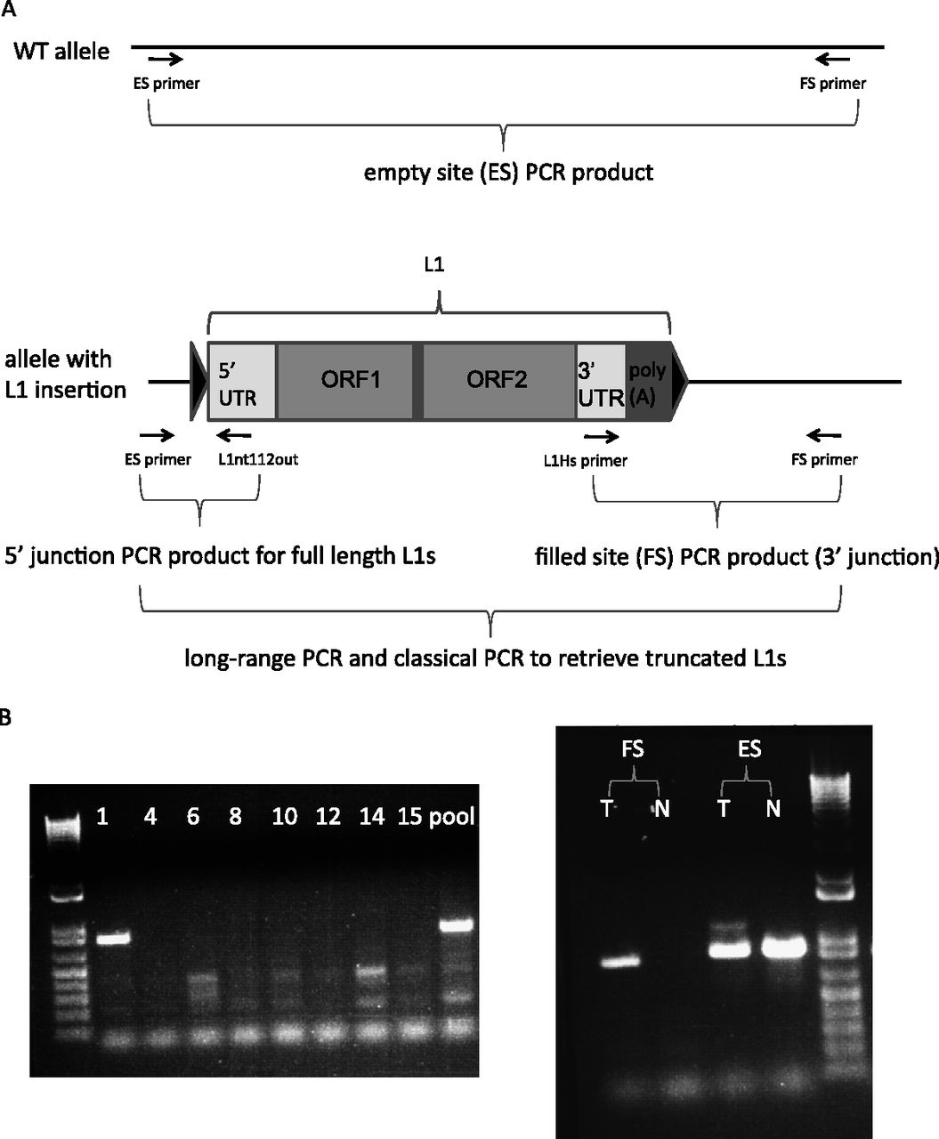2328fig2