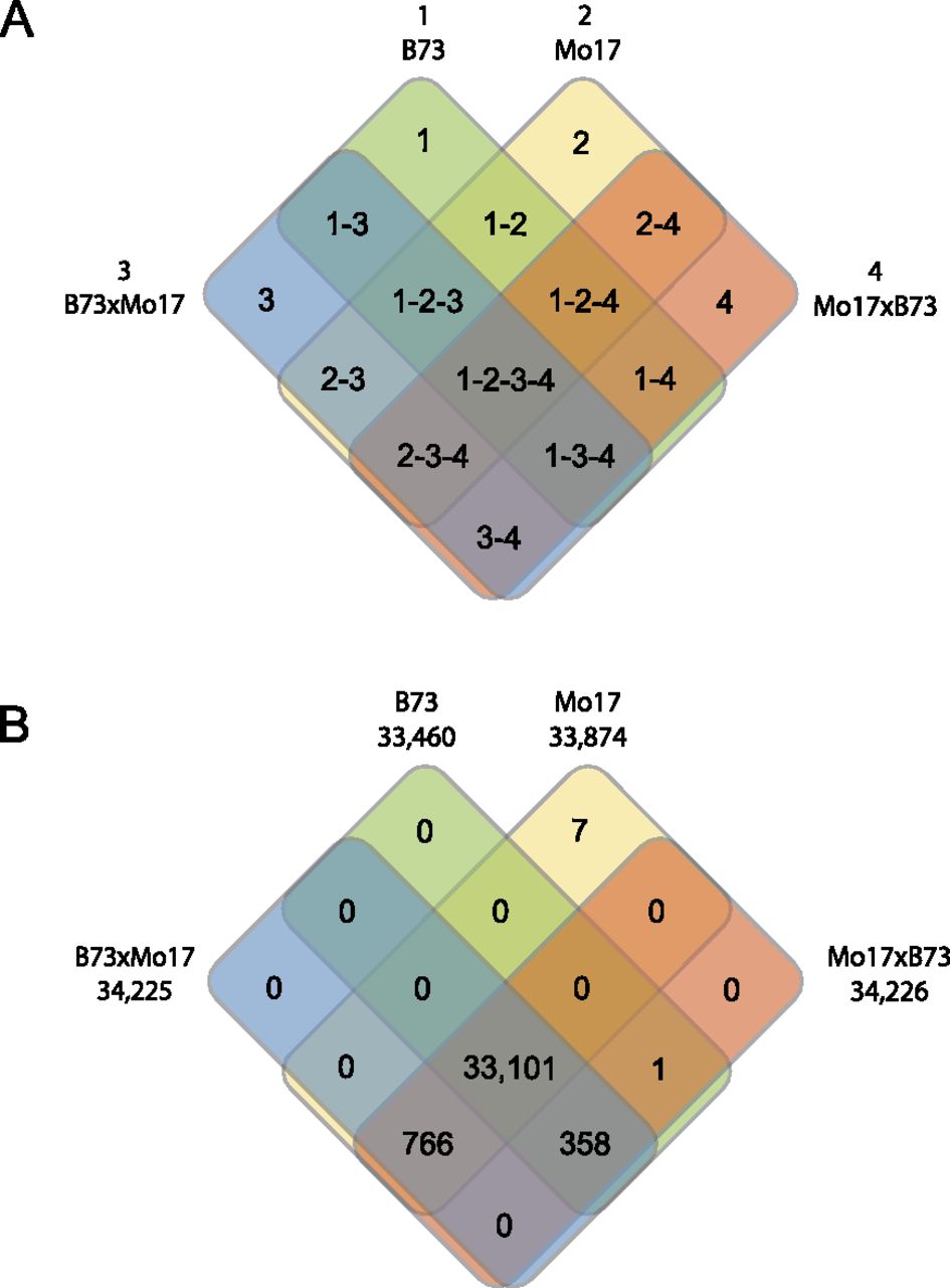 2445fig2