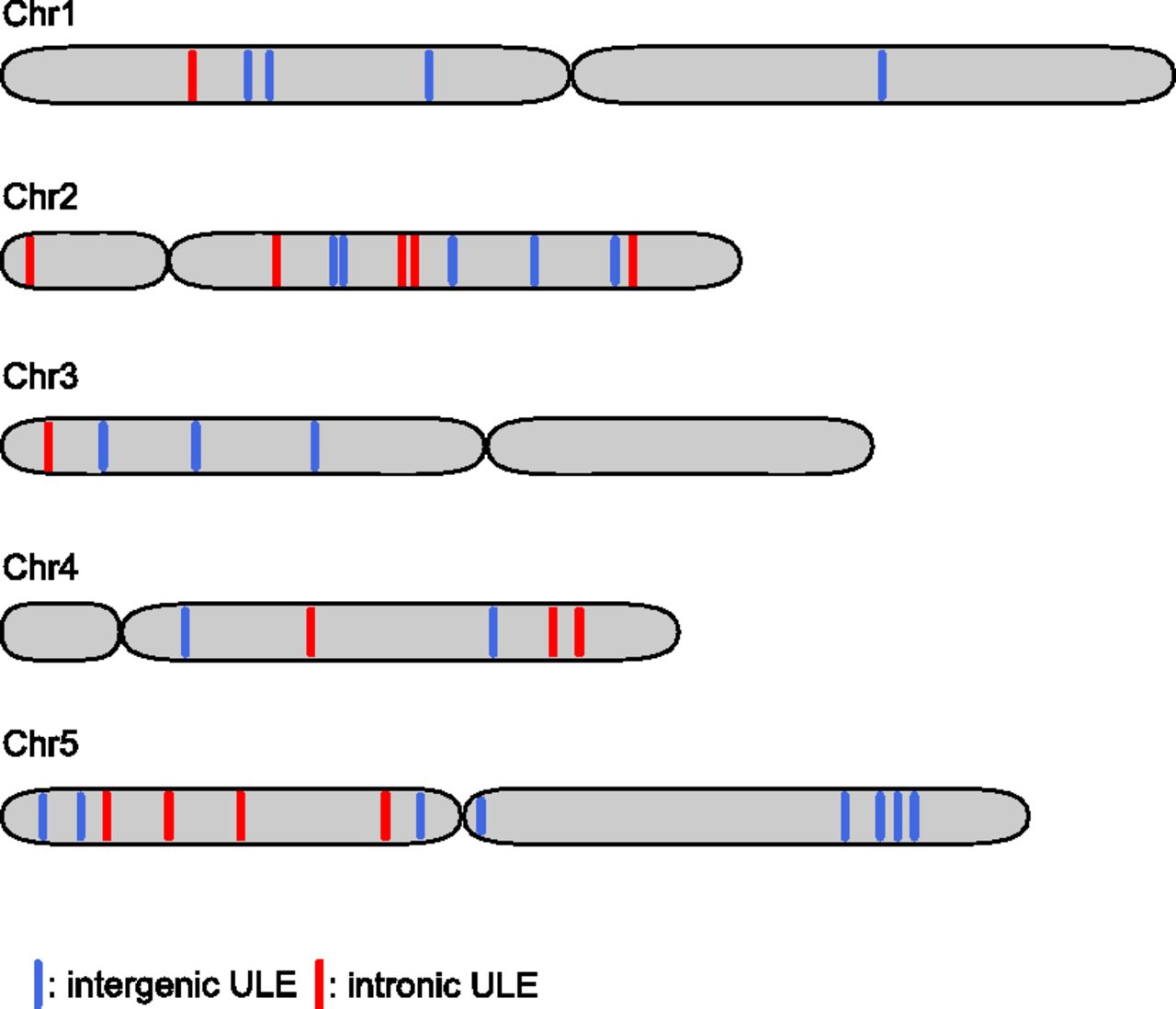2455fig1