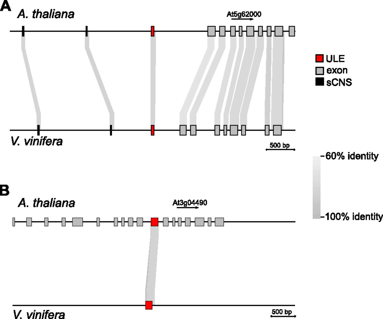 2455fig3