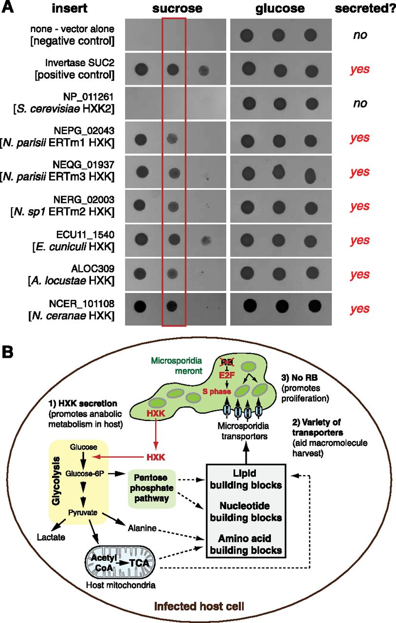 2478fig4