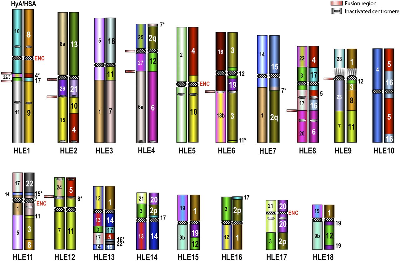 2520fig1