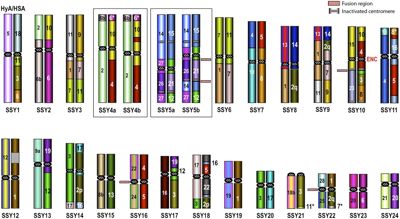 2520fig2