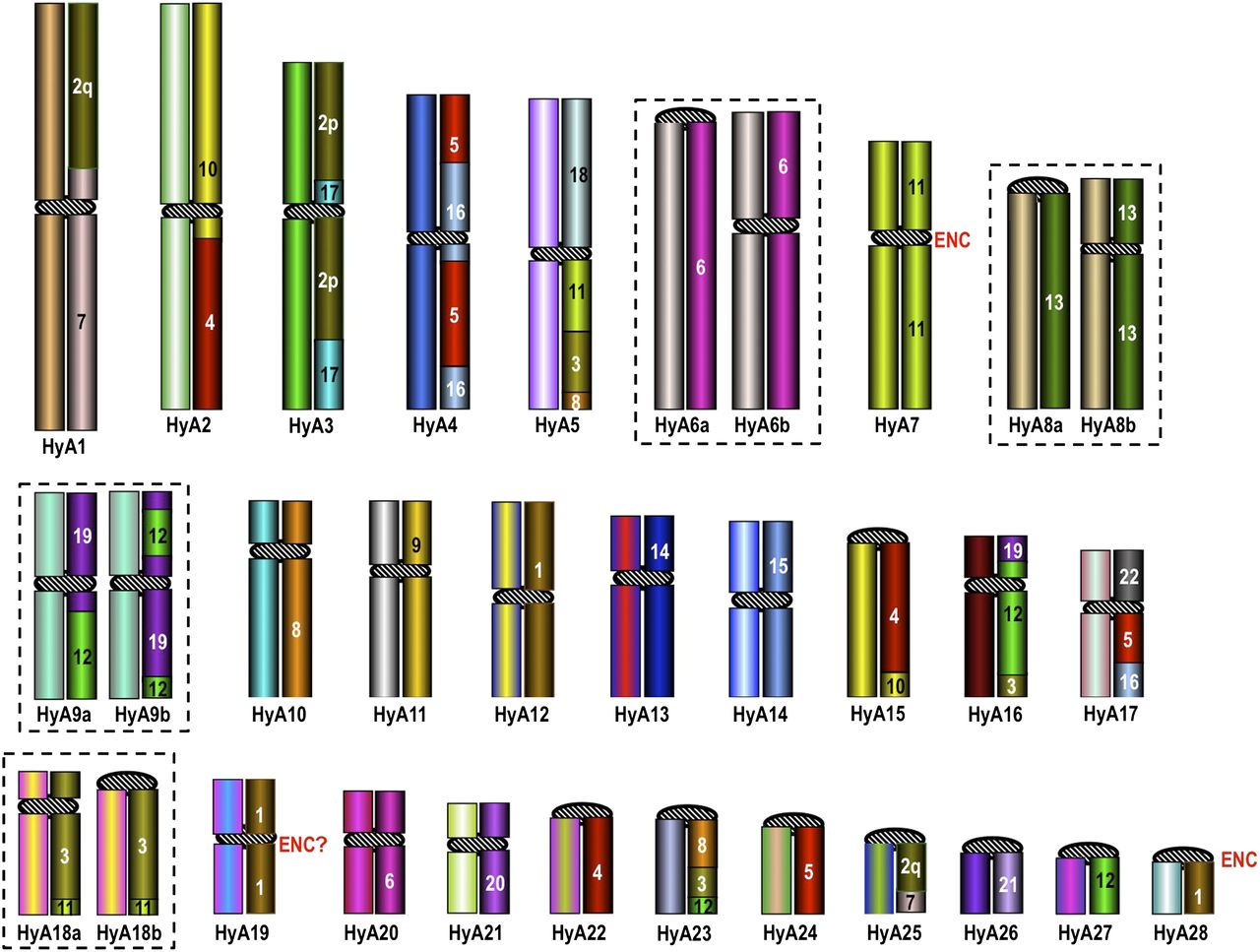 2520fig3
