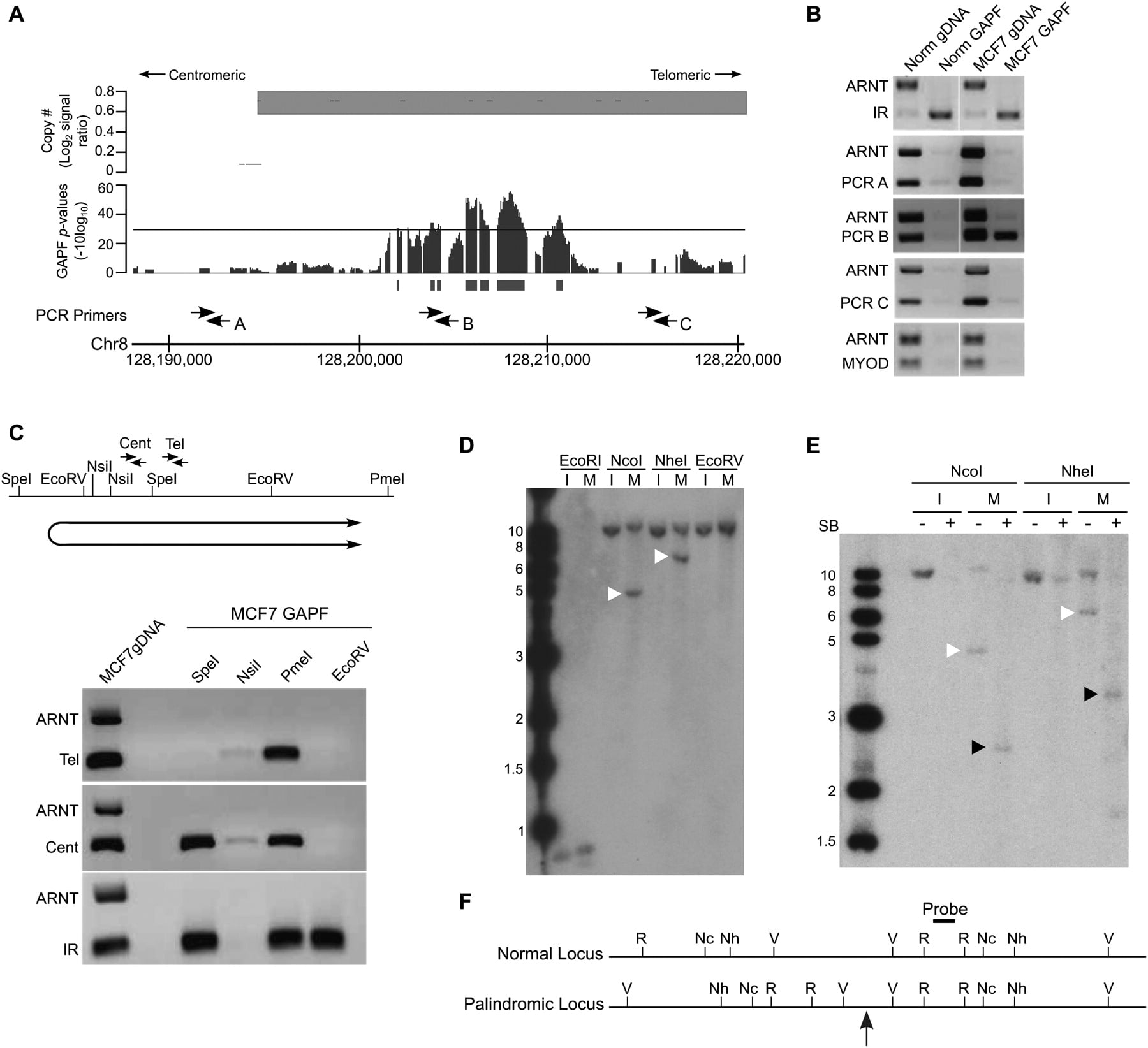 232fig3