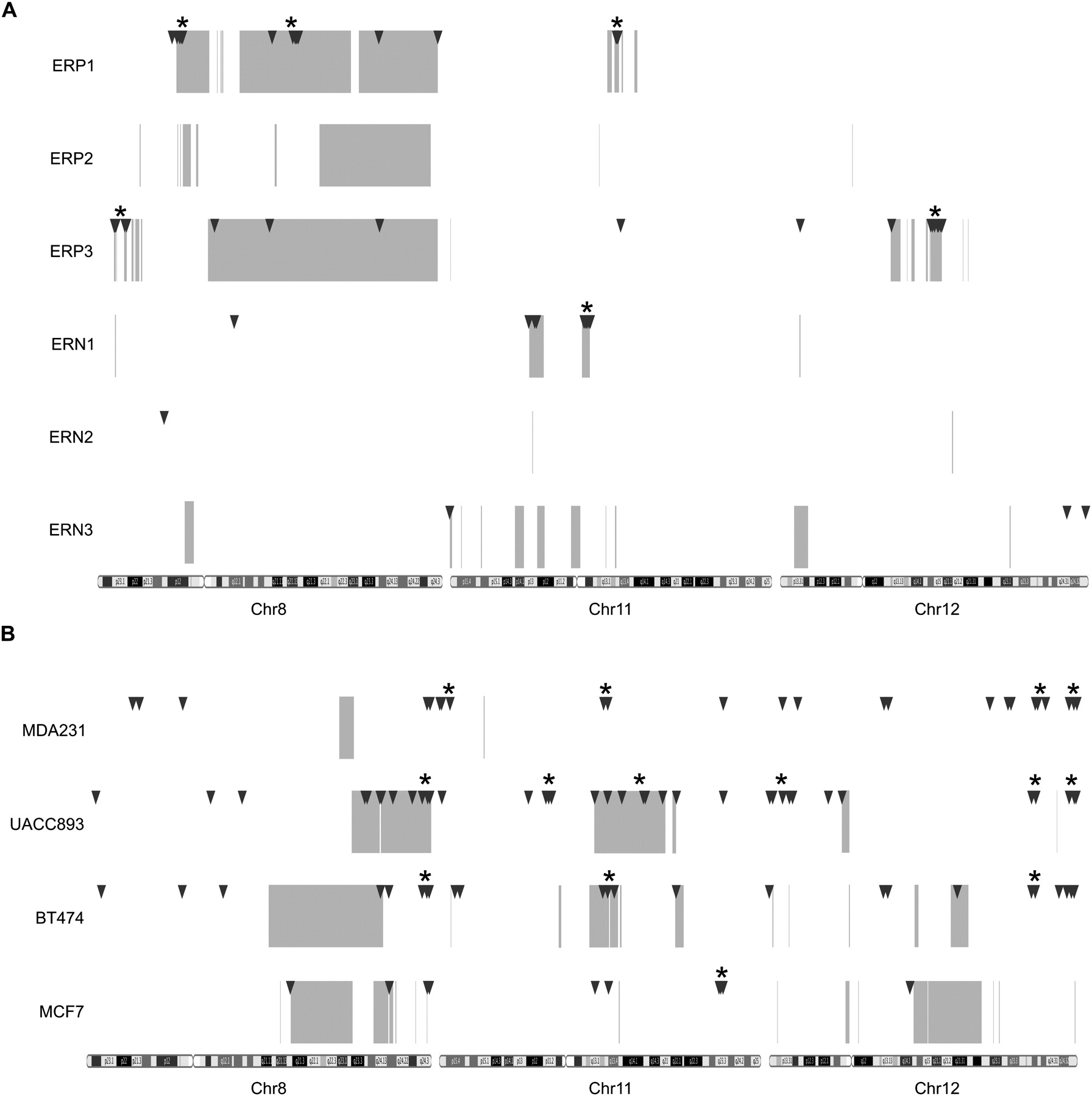 232fig4