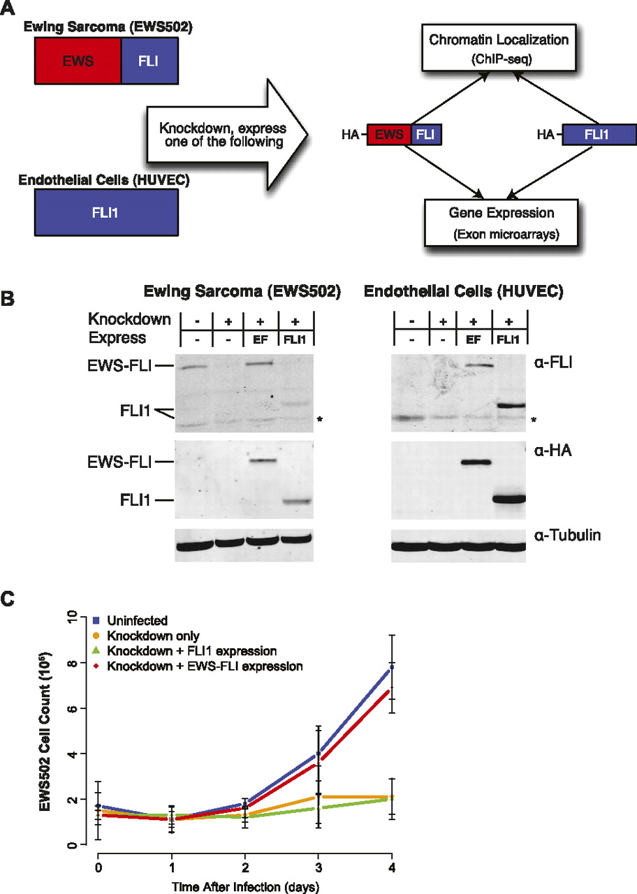 259fig1
