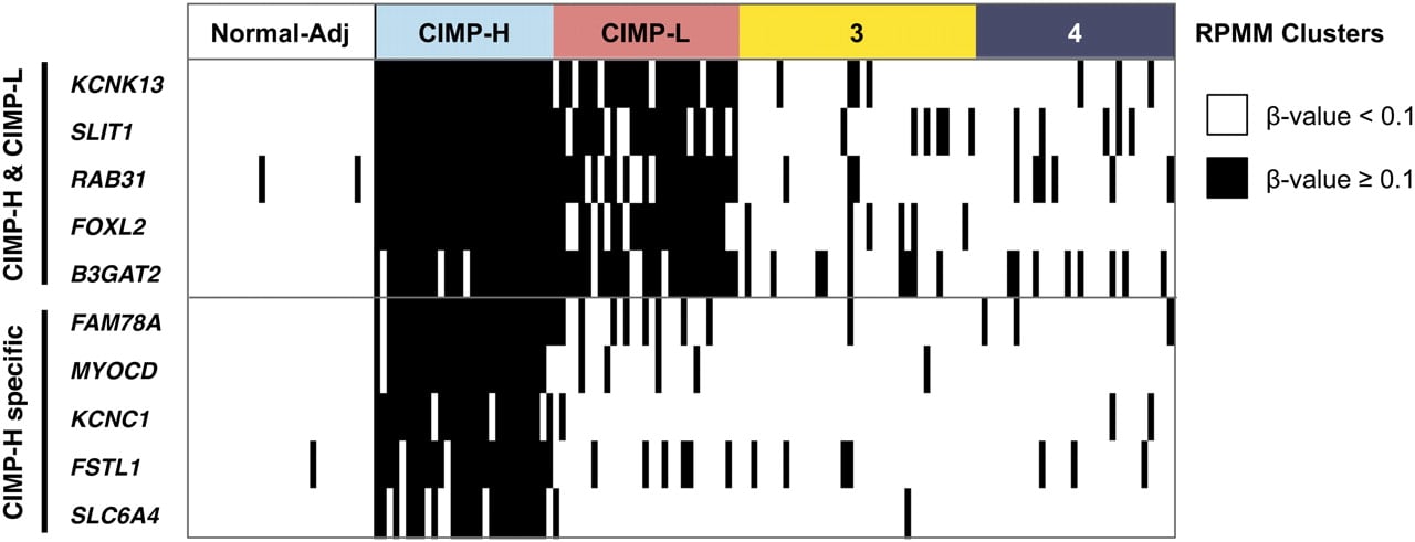 271fig5