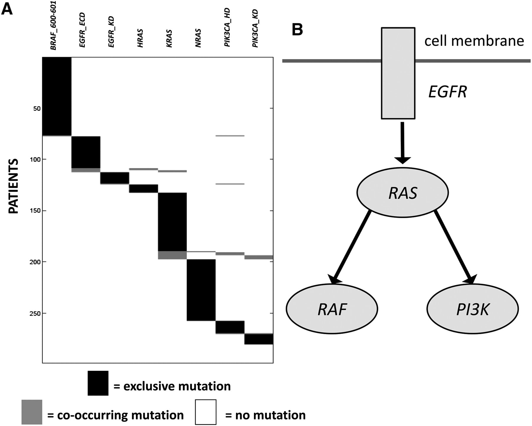 375fig3