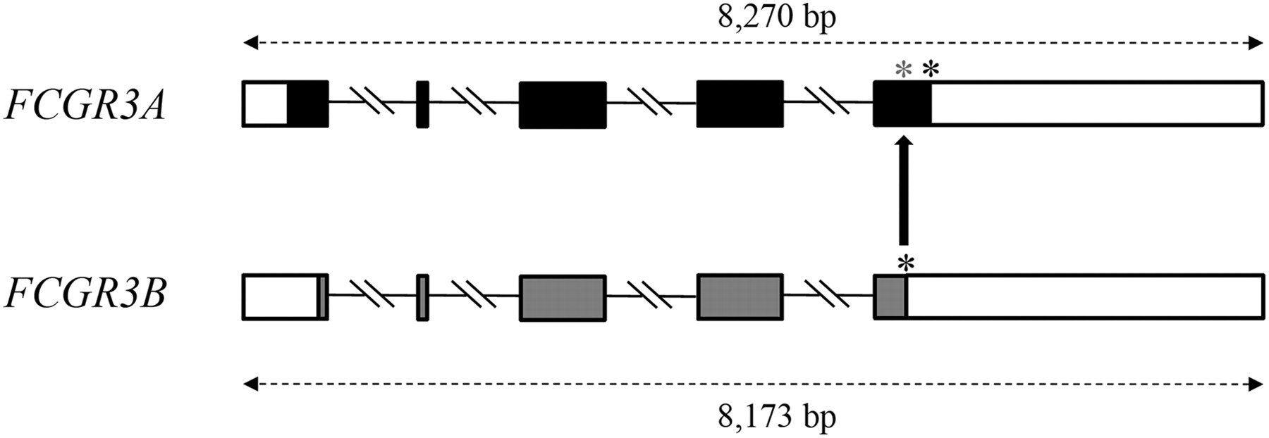 429fig4