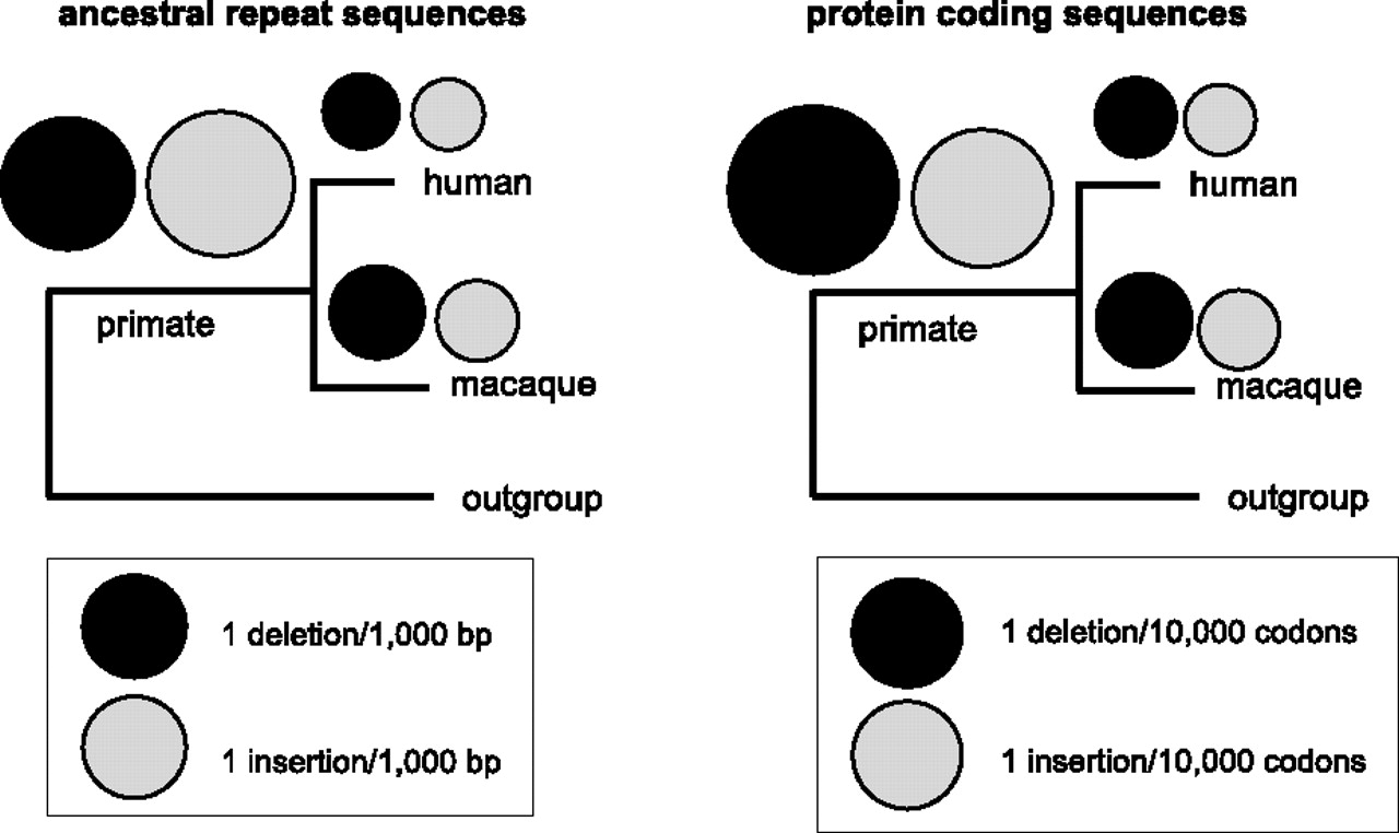 478fig2