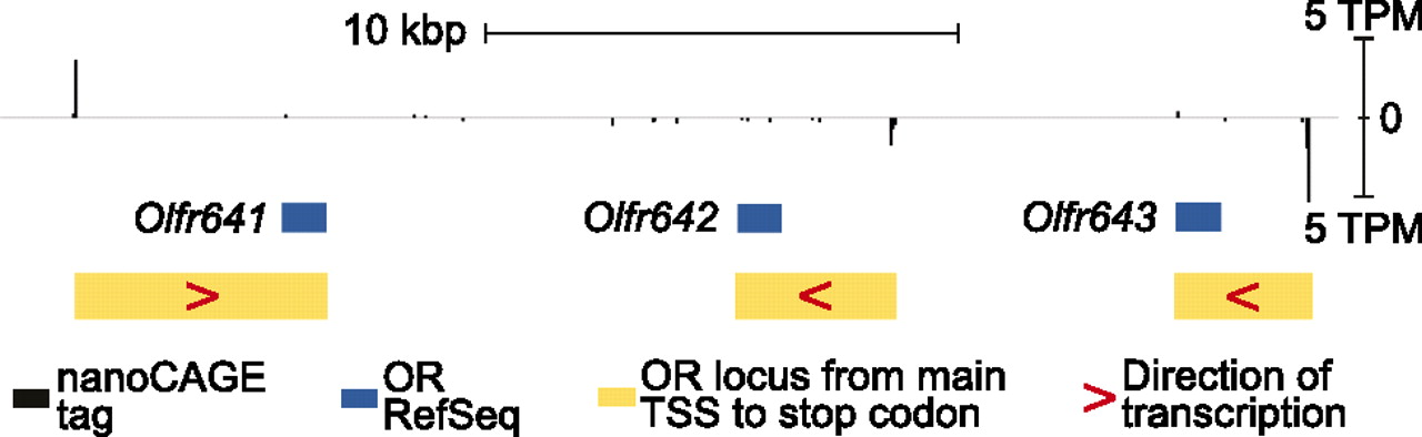 486fig2