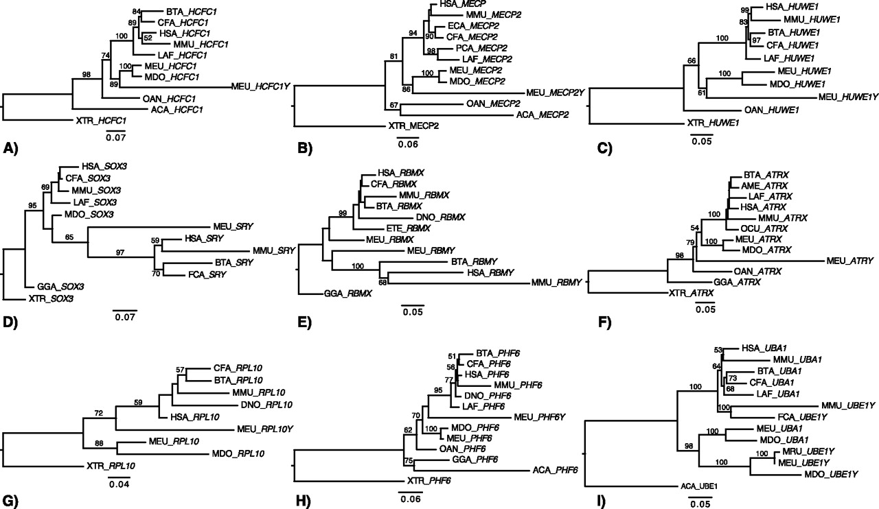 498fig2