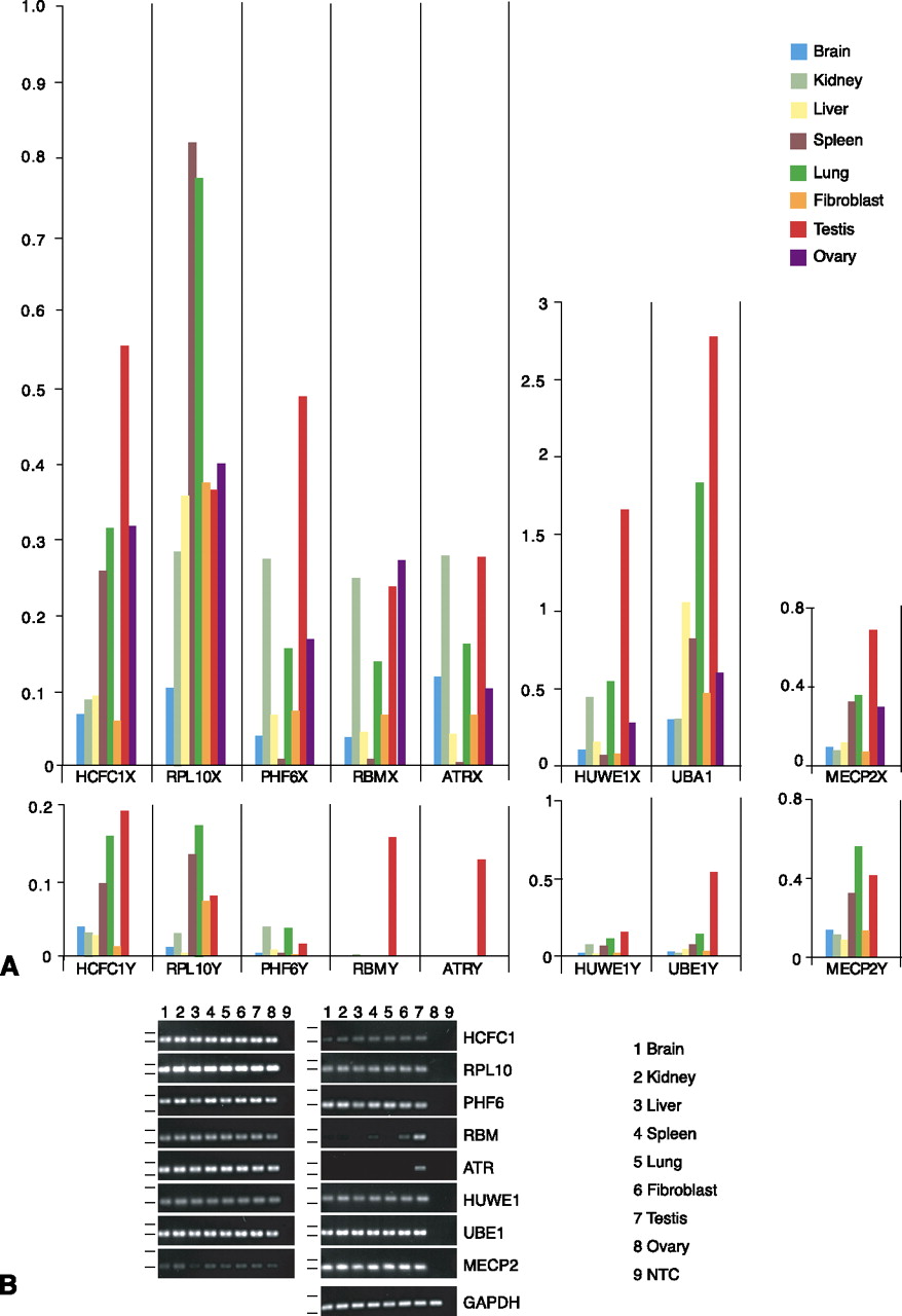 498fig3