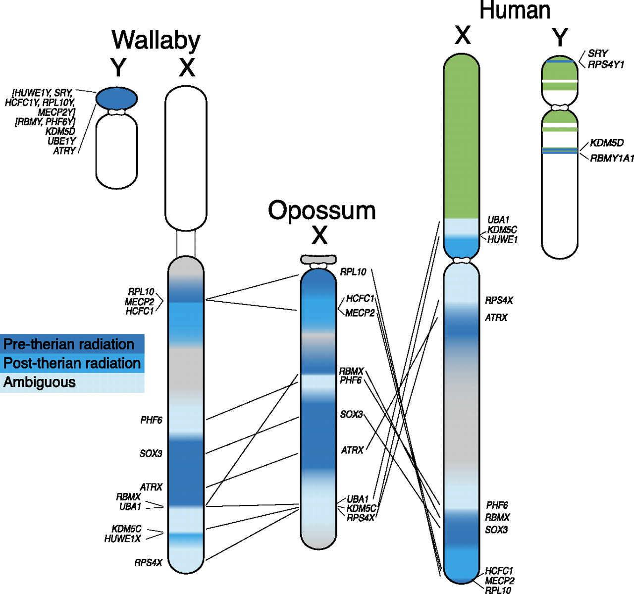 498fig4